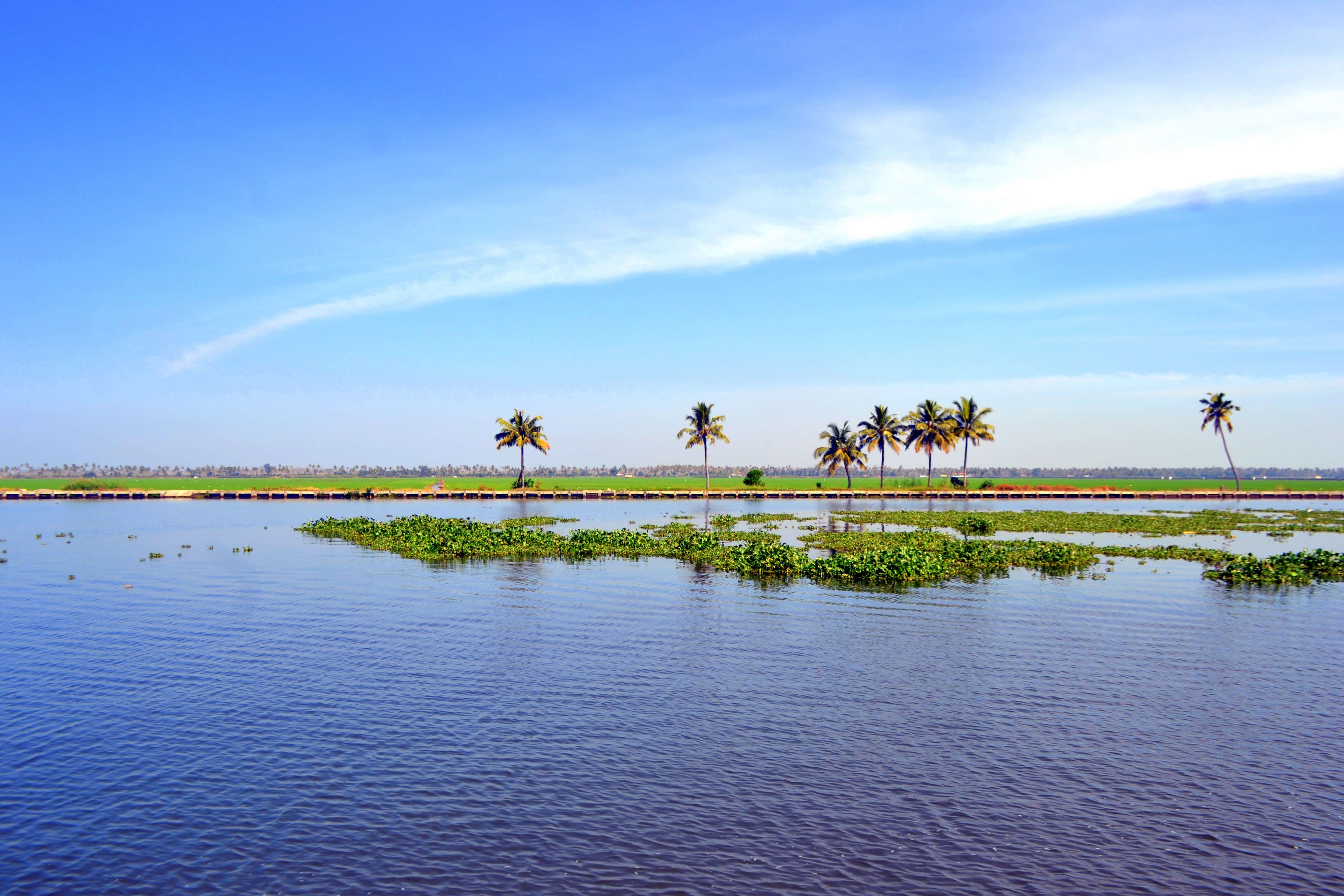 Kuttanad