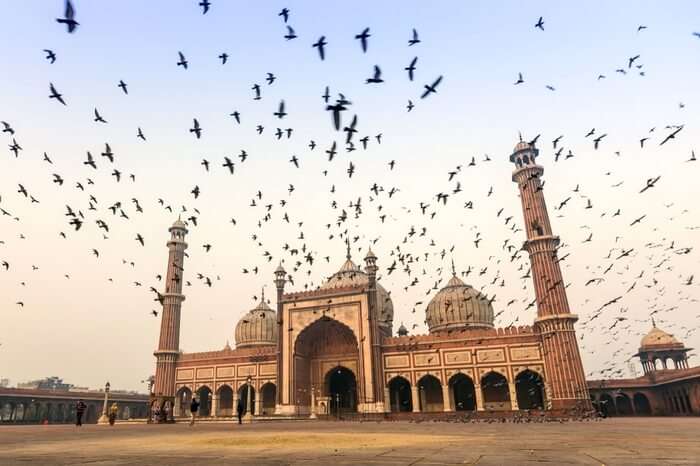 A flock of birds flying past Jama Masjid in Delhi