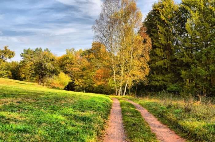 Hill Nature Trail