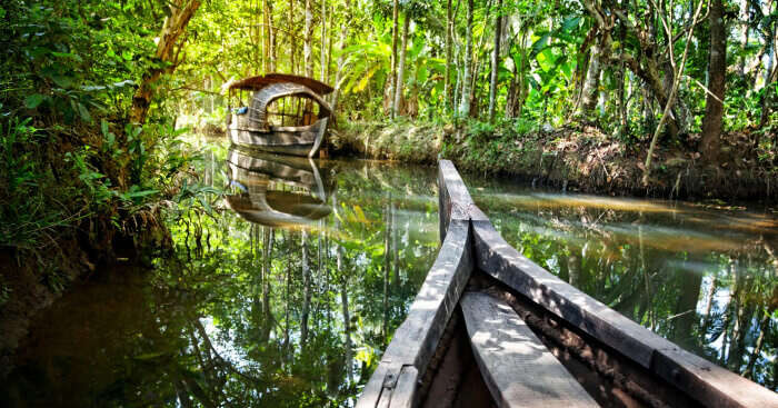 A boat crossing a mangrove in Goa