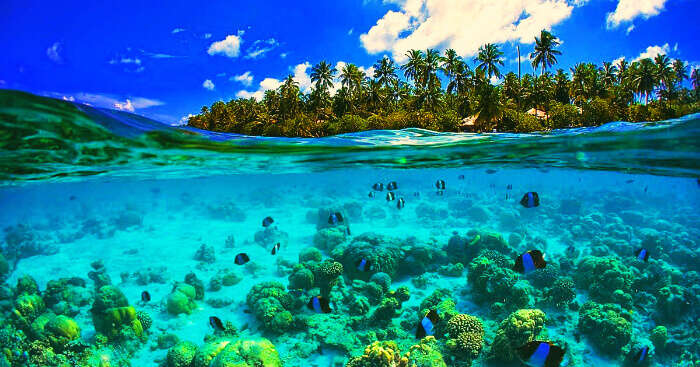 An island in Seychelles surrounded with blue waters