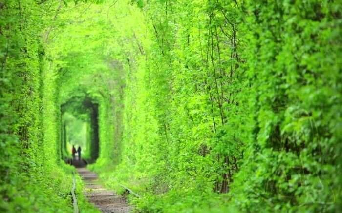 Shot of the Tunnel of Love in Ukraine