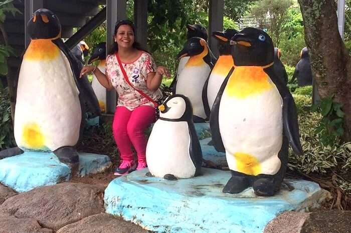 having fun with penguins in Pattaya