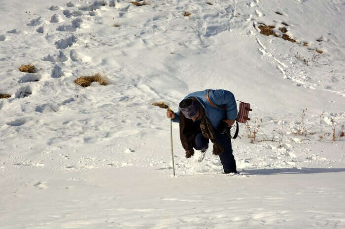 Witness the majestic view of snowfall in Auli in winter