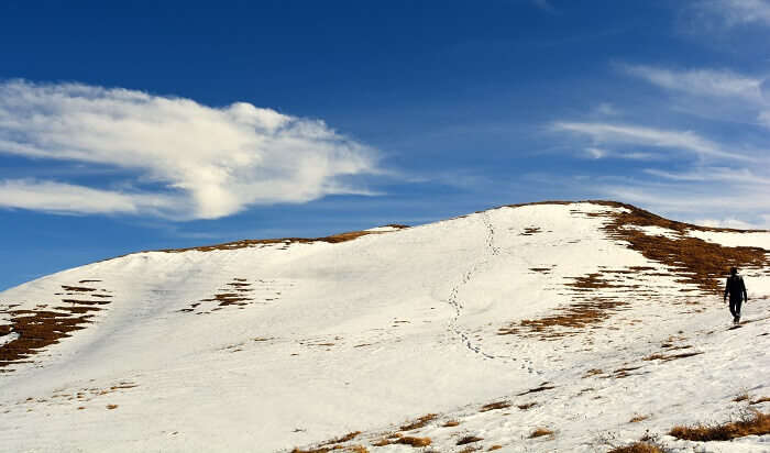 Gorson Bugyal is one of the best places to visit in Auli in winter