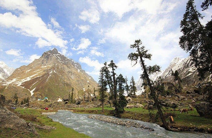 Har Ki Dun Winter Trek