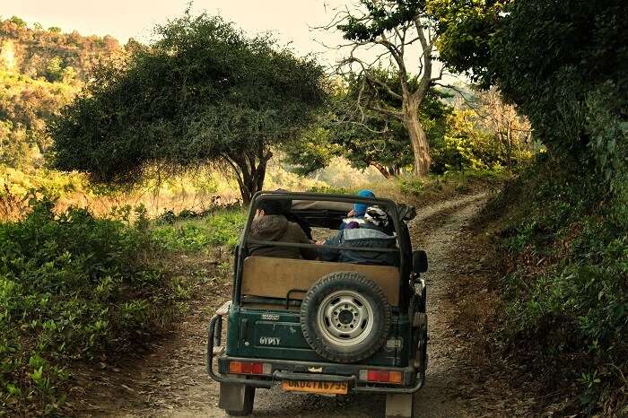 passing the rugged terrains in jim corbett