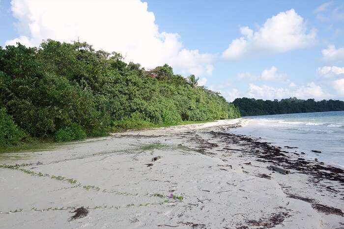 The stunning Merk Bay Beach on the Baratang island of Andaman