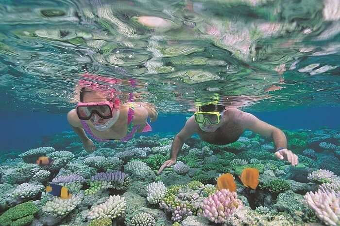 Romantic couple snorkeling on honeymoon in Australia