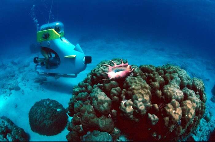 Romantic underwater sea walking in Andaman & Nicobar Islands