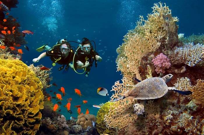 Couple scuba diving in Bora Bora