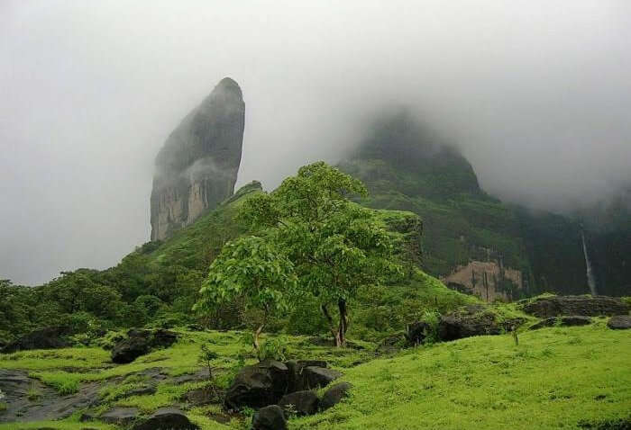 An adventurous view of Chandoli National Park which is one of the amazing places to visit in India in summer