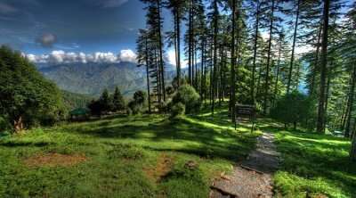 natural attractions in Dhanaulti , a perfect holiday destination counted among the best places to visit in India in June