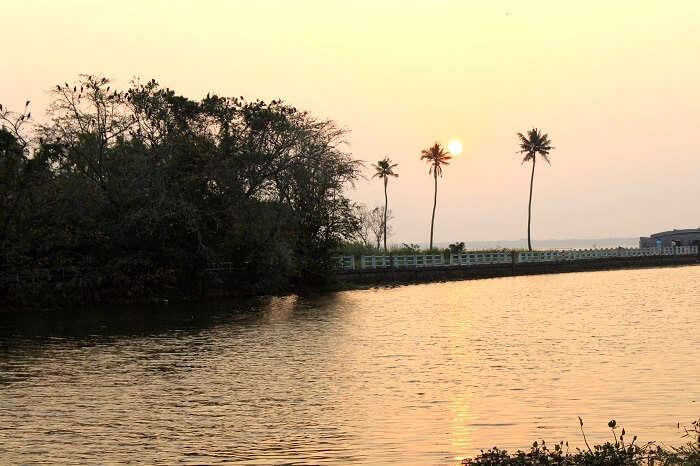 beautiful sunset in alleppey