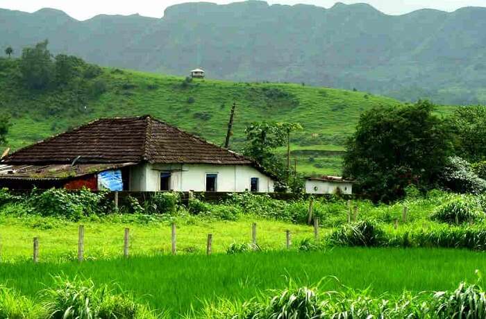The green valley of Karjat near Mumbai