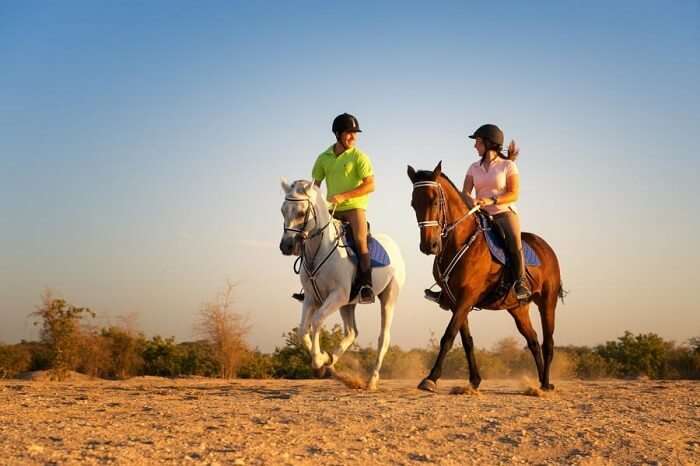 Arabian horse riding in Dubai