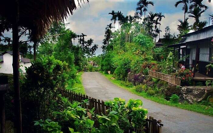 A road in Mawlynnong
