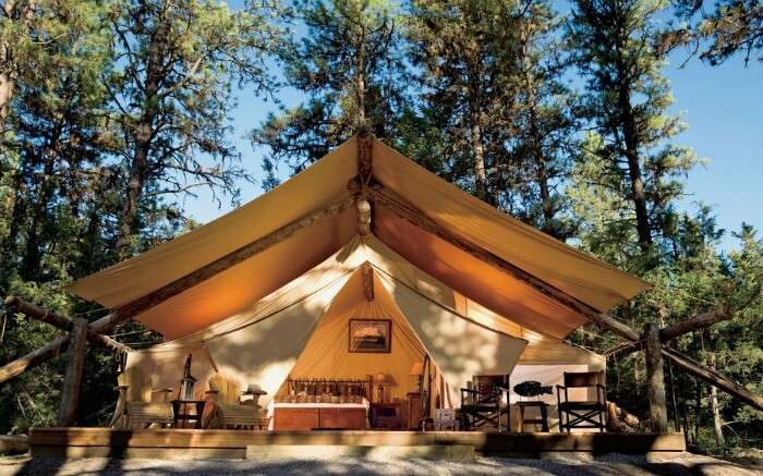 Paws Up Resort in Montana