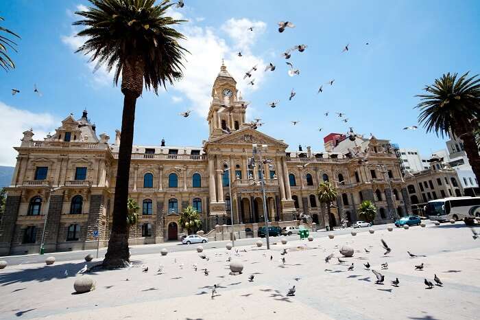 Pigeons flying over city hall of Cape Town in South Africa