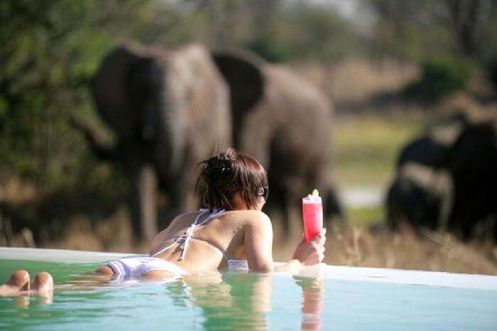A honeymooner relaxing in a pool during safari honeymoon in South Africa