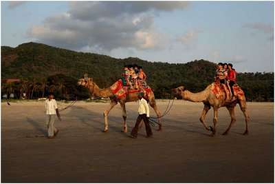 Enjoying camel ride is one of the fun activities to do in Neemrana Fort Palace