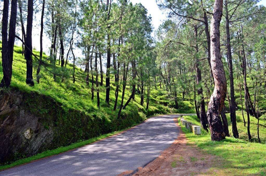 a road in mountains surrounded by trees