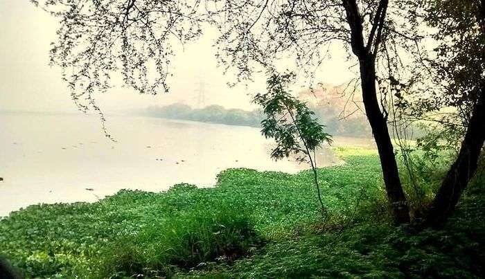 Bird Sanctuary View