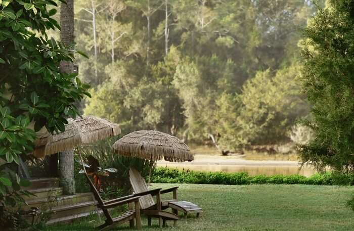 Garden view