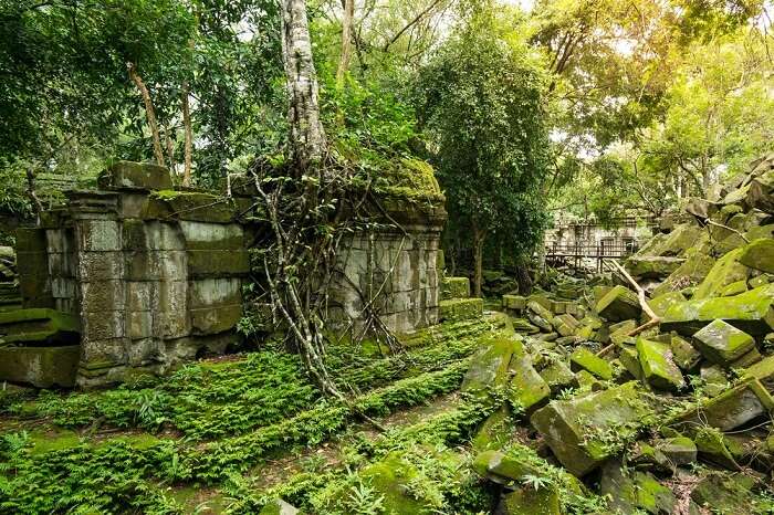 Beng Mealea temple ruins in the middle of jungle in Cambodia