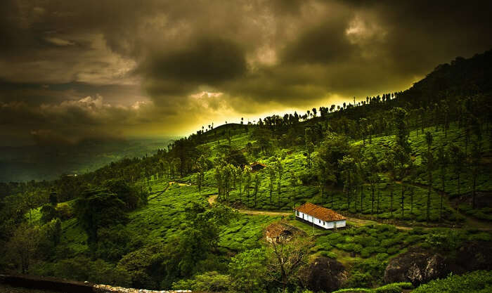 Wayanad, Kerala