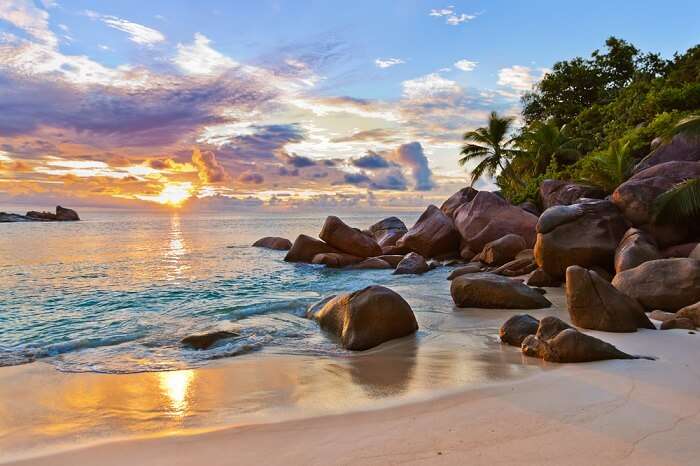 A charming view of beach in Seychelles attracting backpackers for a memorable holiday