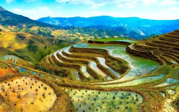 Ifugao Rice Terraces in Phillipines 