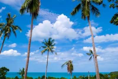 Beach Trees Sea Koh Samui Clouds Blue Sky