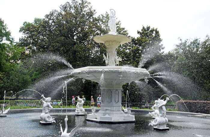 Beautiful Fountain View