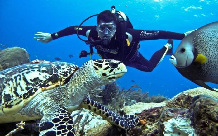 deep sea diving with turtles in Langkawi 