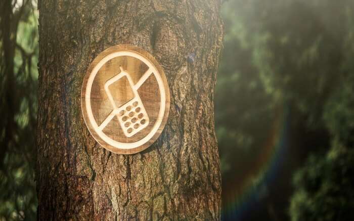 digital detox signboard on a tree trunk 