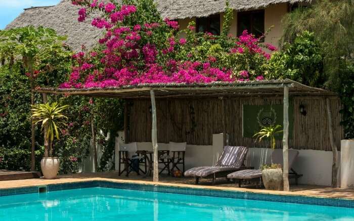 pool area of Zanzibar Retreat hotel decorated with bougainvillea flowers 