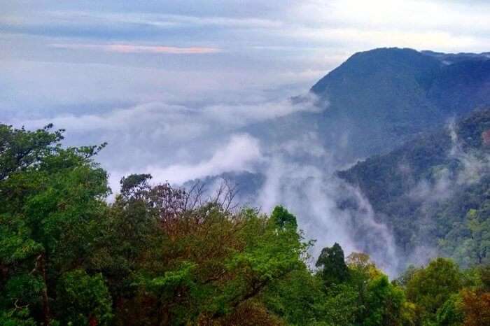 mountains of Agumbe covered in mist