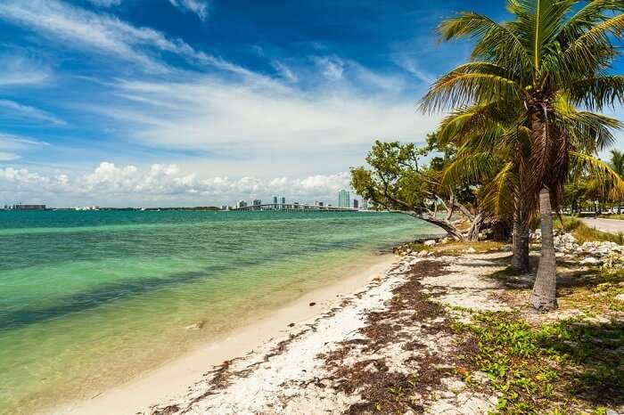 secluded beach in miami