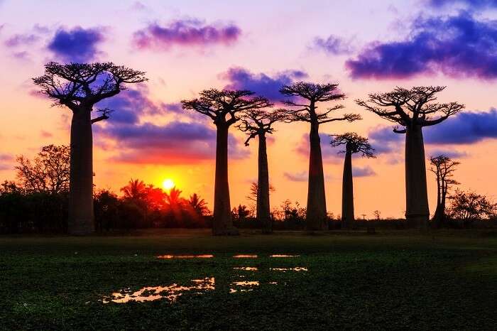 places to visit on honeymoon in Africa