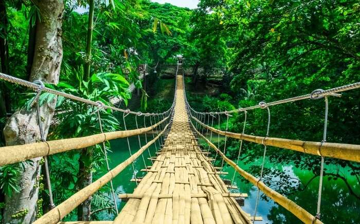 A bridge amid forest in Bohol Island in Philippines