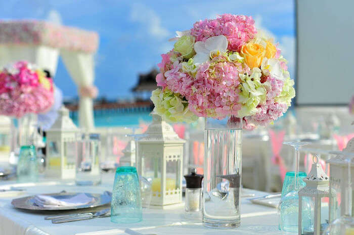 Chicest Resorts_ Enjoy The Luxury & Comfort