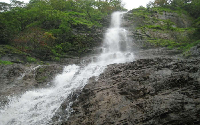 Harvalem Waterfalls surrounded by green jungle