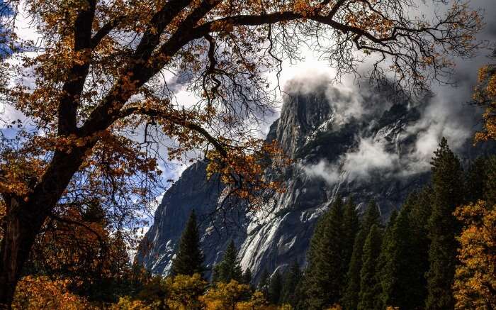 Mountains of Yosemite National Park hidden behind trees and clouds in California in Autumn