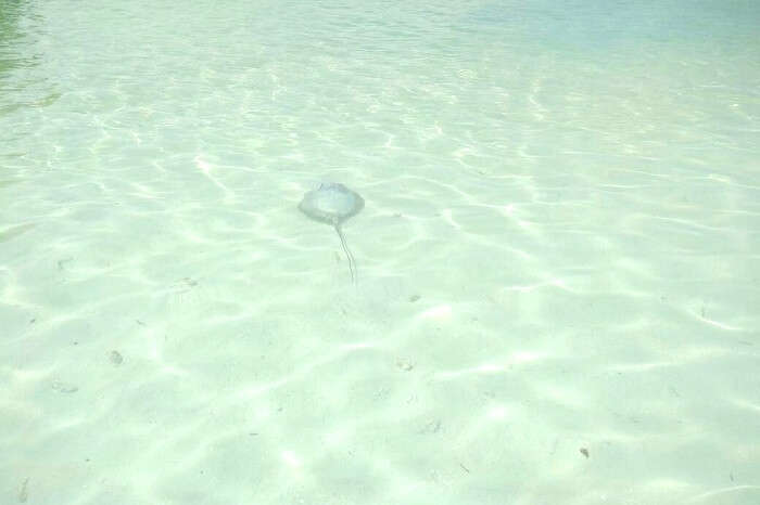 clear water in maldives