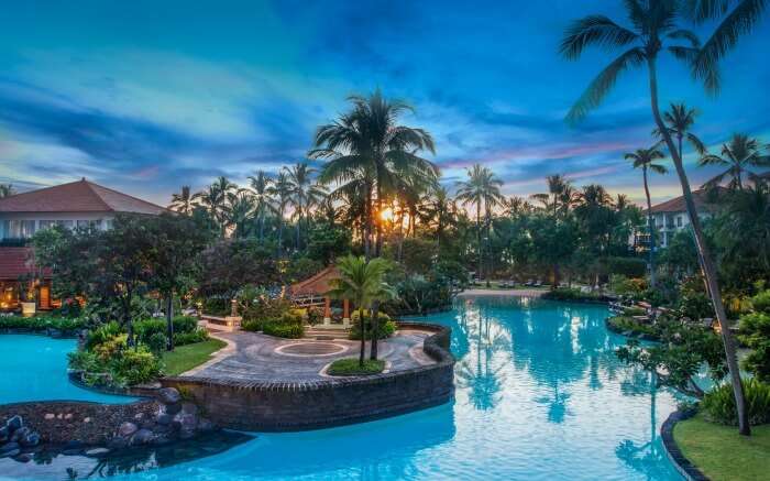 A gorgeous outdoor pool and palm trees in resoort premises