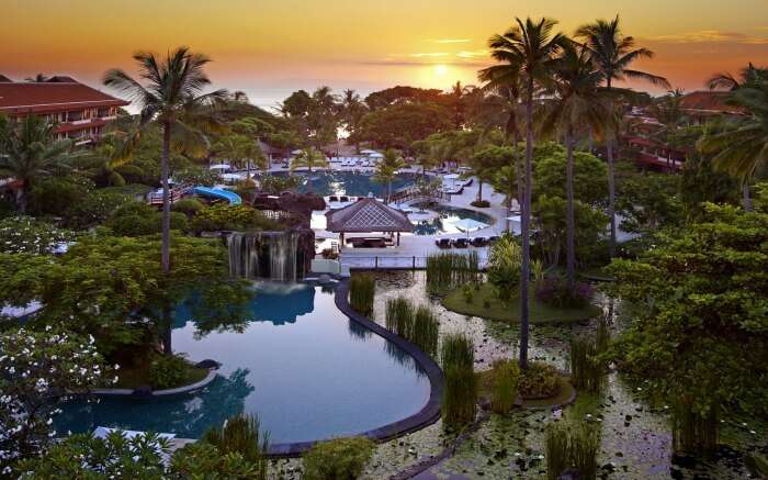 A luxurious resort in the middle of a forest