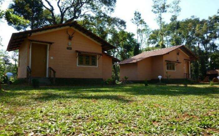 Front view of cottages of Coorg Coffee Camp in Coorg 
