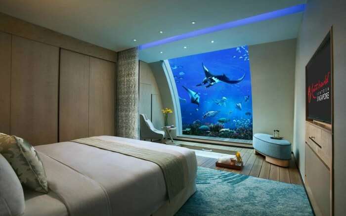 Ocean Suite in Hotel Equarius ss