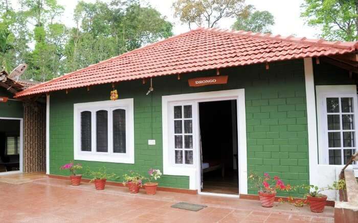 One of the cottages of Chilipili Estate Stay in Coorg district in Karnataka 